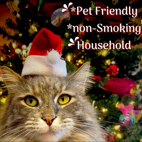 *non- smoking - Picture 2 of 2